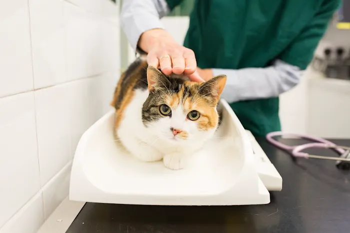 Nithsdale Vets Limited Picture 9