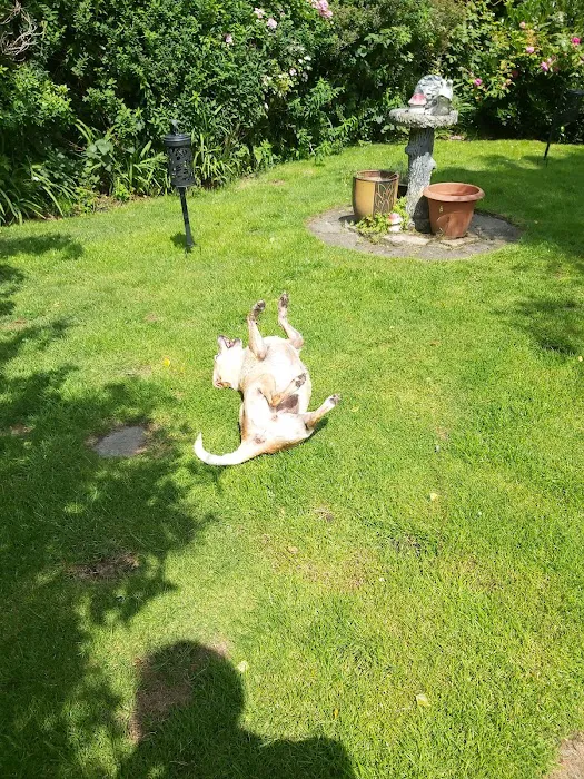 Nithsdale Vets Limited Picture 8