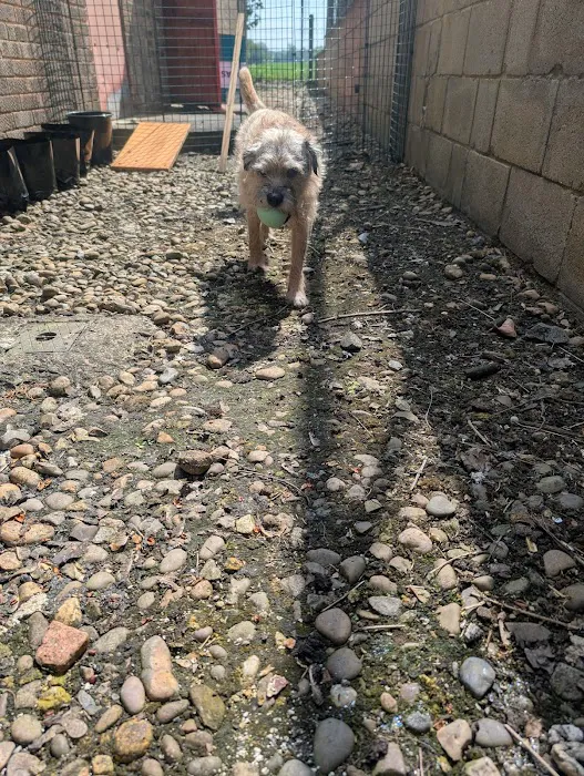 Track & Trail Canine Outfitters Picture 5