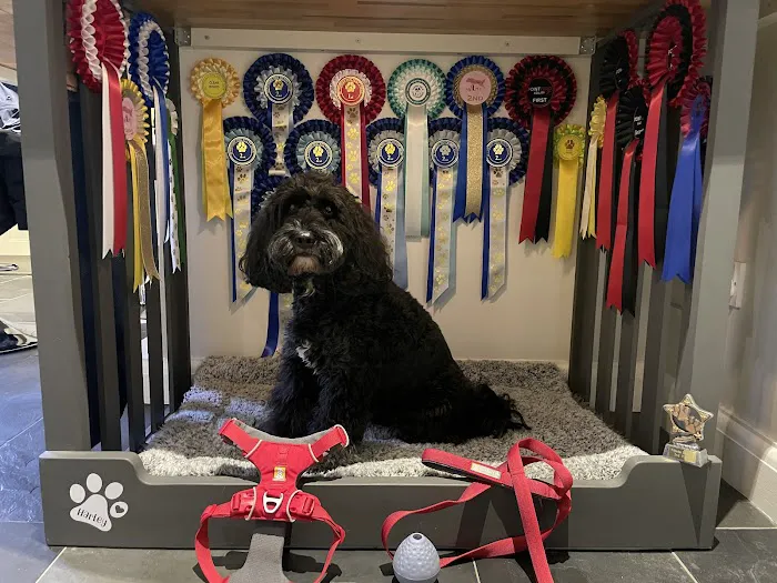 Track & Trail Canine Outfitters Picture 1