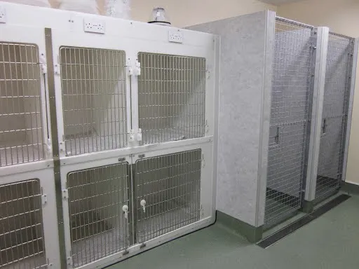 Nithsdale Vets Dumfries Picture 4