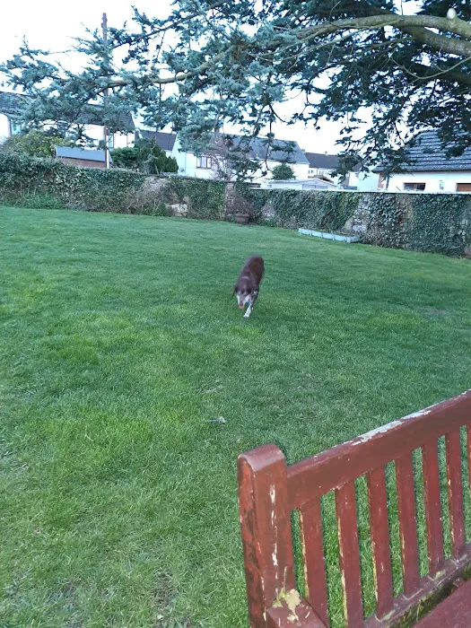Nithsdale Vets Dumfries Picture 2
