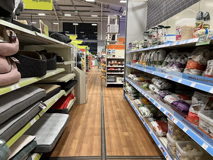 Pets at Home Dumfries Picture 9