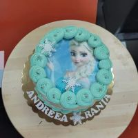 Ark Veterinary Centre ico