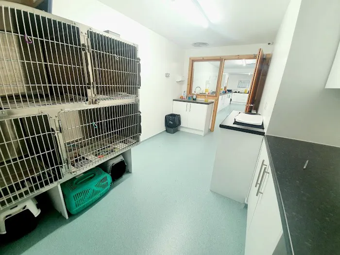 Ark Veterinary Centre Picture 3