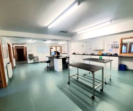 Ark Veterinary Centre