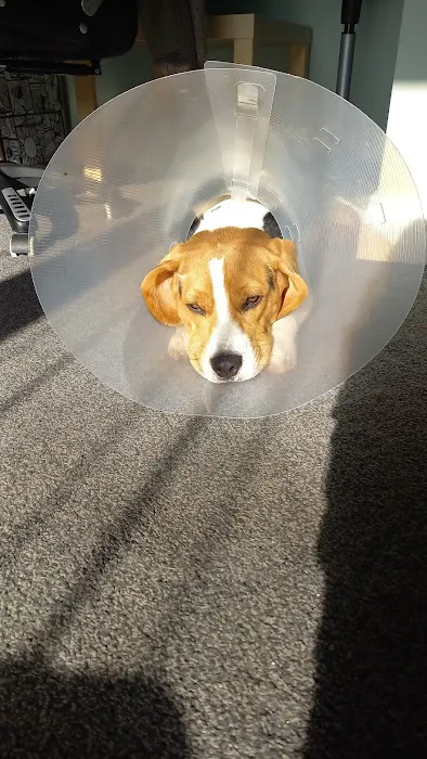 Bard Vets Picture 5