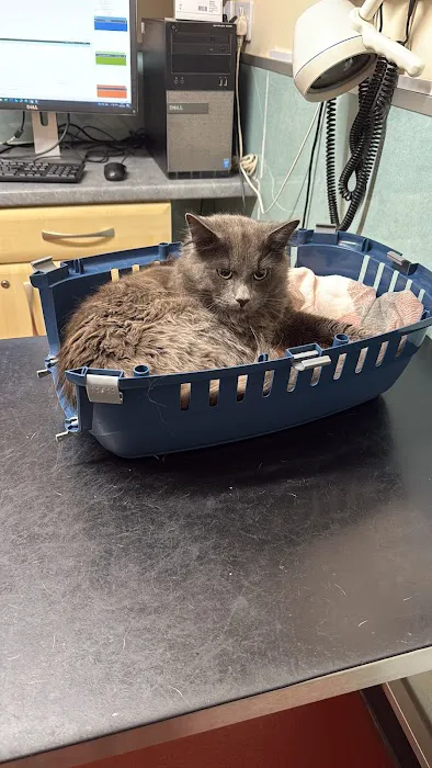 Charnwood Veterinary Centre Picture 4