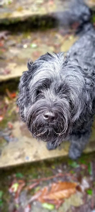 WCF Pet & Equestrian (Castle Douglas) Picture 3