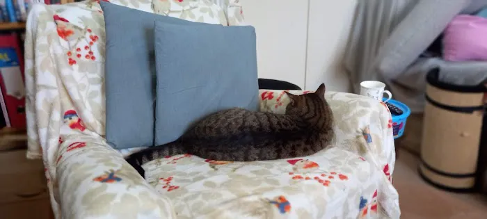 WCF Pet & Equestrian (Castle Douglas) Picture 2