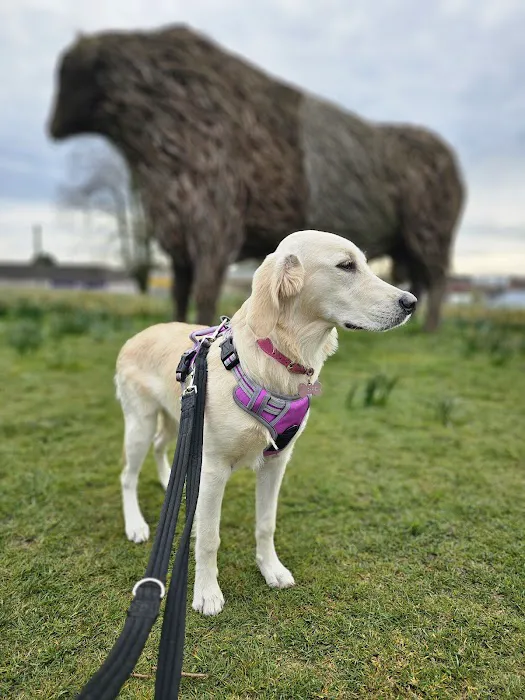 WCF Pet & Equestrian (Castle Douglas) Picture 4