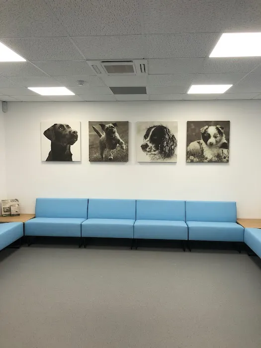Dryfe Vets Picture 6