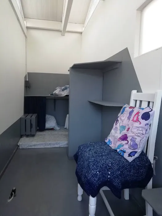The Cottage Cattery Picture 1