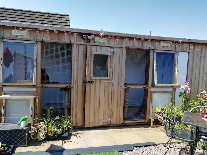 The Cottage Cattery Picture 4