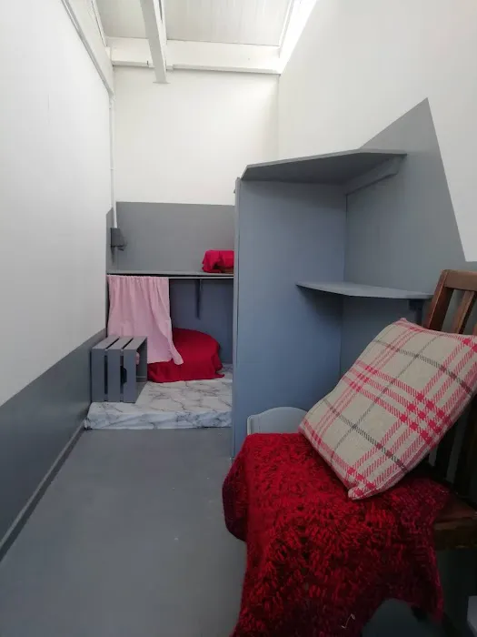 The Cottage Cattery Picture 10
