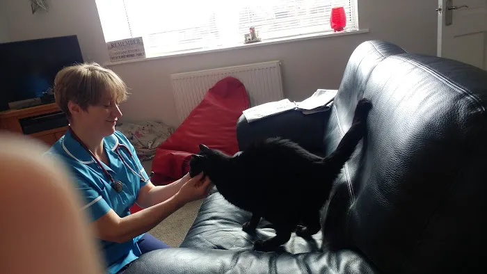 The Visit Vet Picture 6
