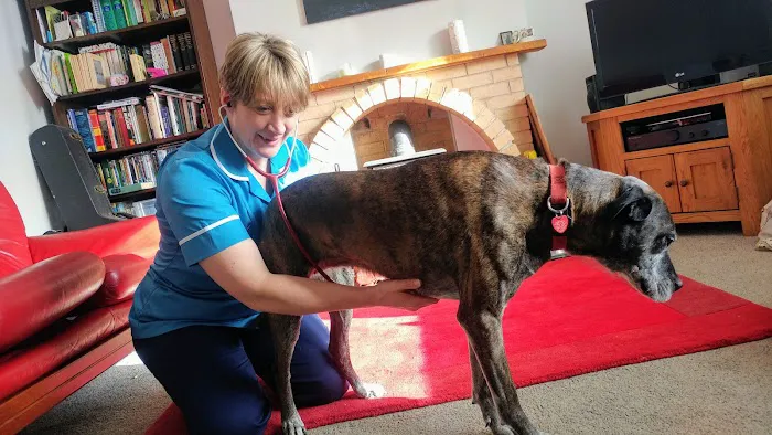 The Visit Vet Picture 7