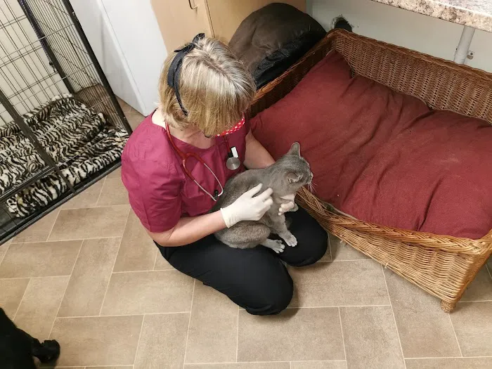 The Visit Vet Picture 9