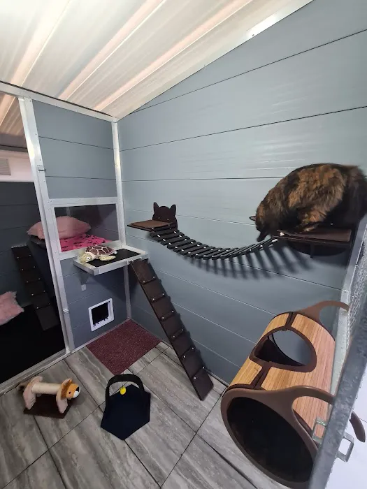 Browtop Cattery Picture 10