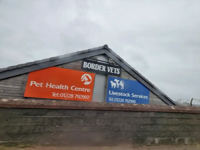 Border Vets Picture 4