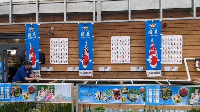 Maidenhead Aquatics Carlisle Dobbies Picture 1