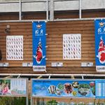 Maidenhead Aquatics Carlisle Dobbies