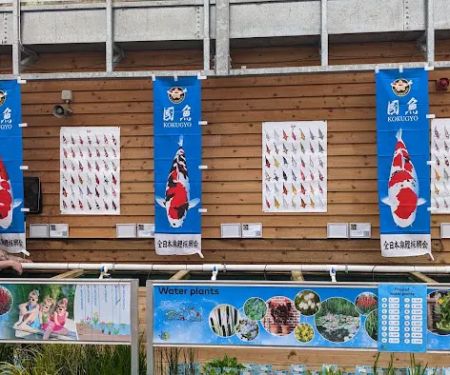 Maidenhead Aquatics Carlisle Dobbies