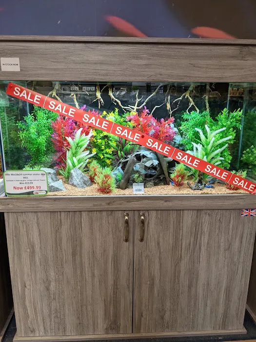 Maidenhead Aquatics Carlisle Dobbies Picture 3