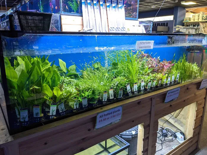 Maidenhead Aquatics Carlisle Dobbies Picture 2