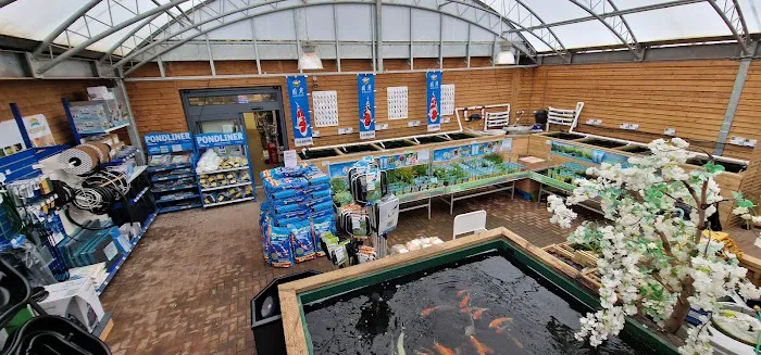 Maidenhead Aquatics Carlisle Dobbies Picture 8