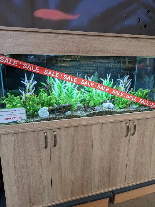 Maidenhead Aquatics Carlisle Dobbies Picture 9