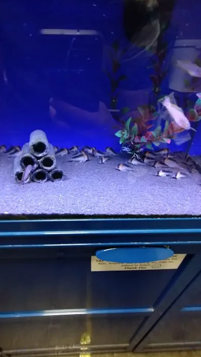 Maidenhead Aquatics Carlisle Dobbies Picture 7