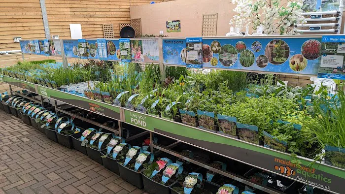 Maidenhead Aquatics Carlisle Dobbies Picture 5