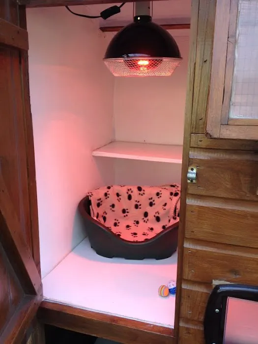Longthwaite Cattery Picture 2