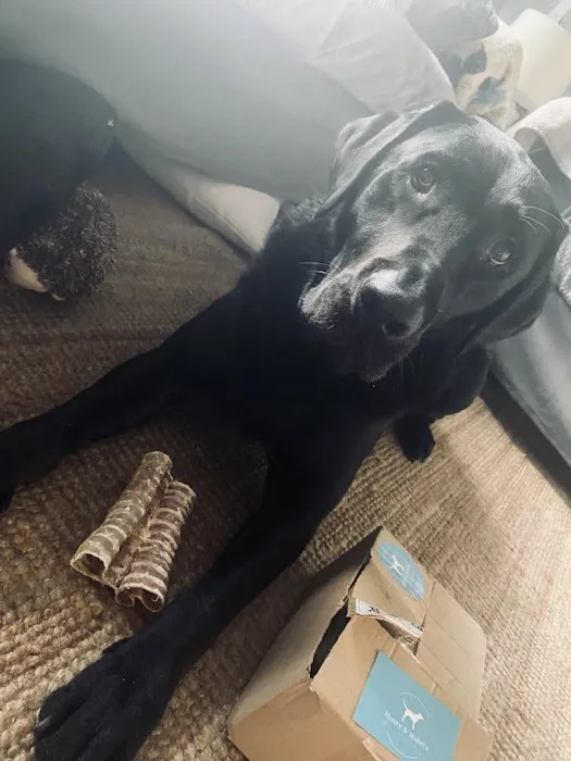 Monty & Mabel’s Picture 3