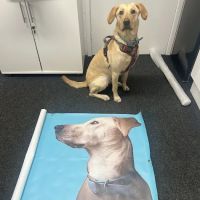 Monty & Mabel’s ico