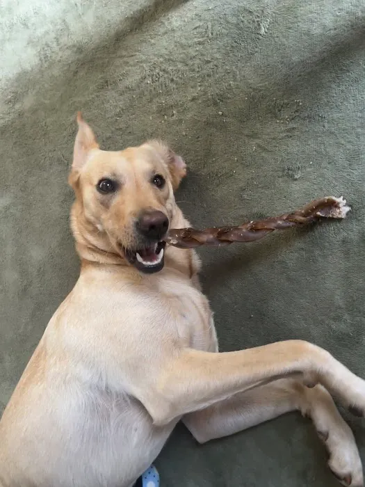 Monty & Mabel’s Picture 2