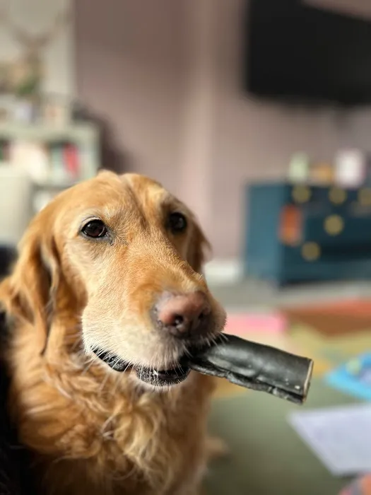 Monty & Mabel’s Picture 5