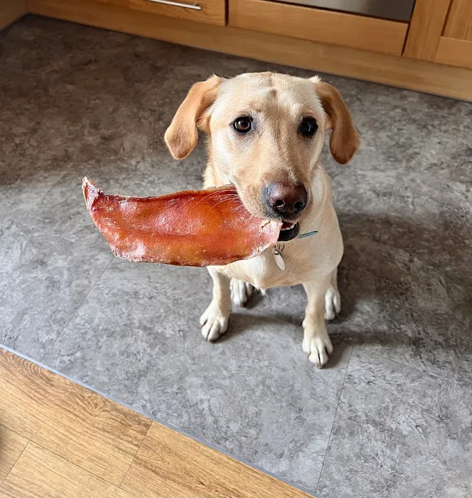 Monty & Mabel’s Picture 9