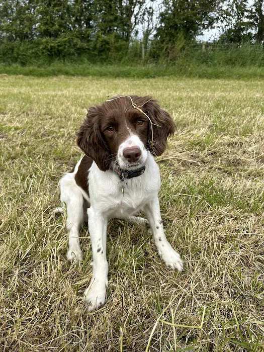 Belle Vue Vets Picture 6