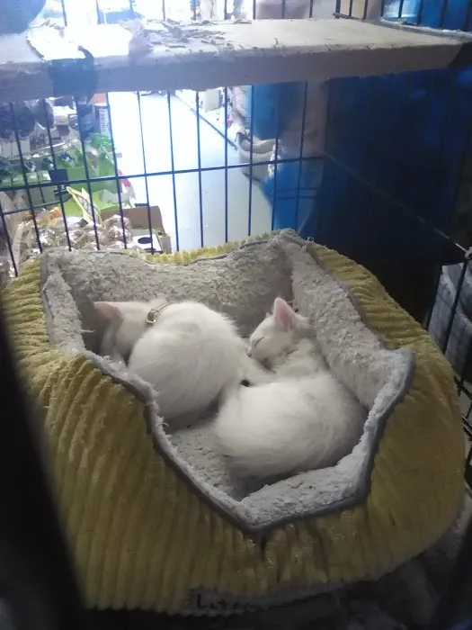 Nixon W & Sons Picture 4