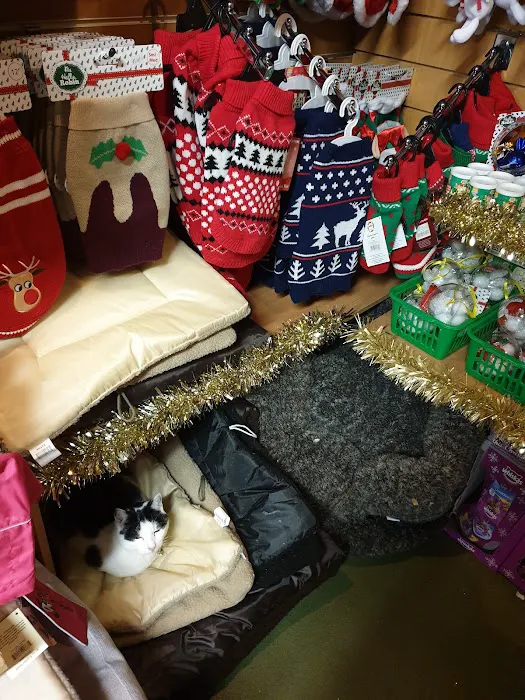 Nixon W & Sons Picture 6