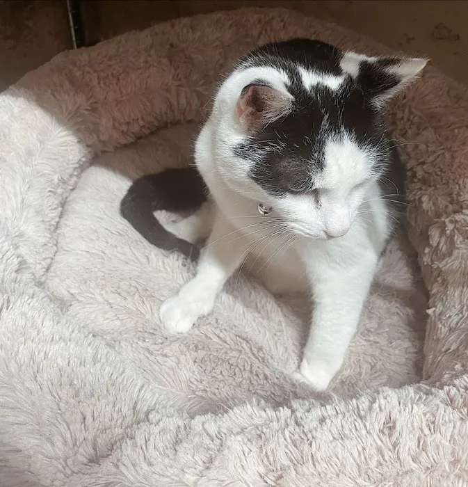 Nixon W & Sons Picture 9