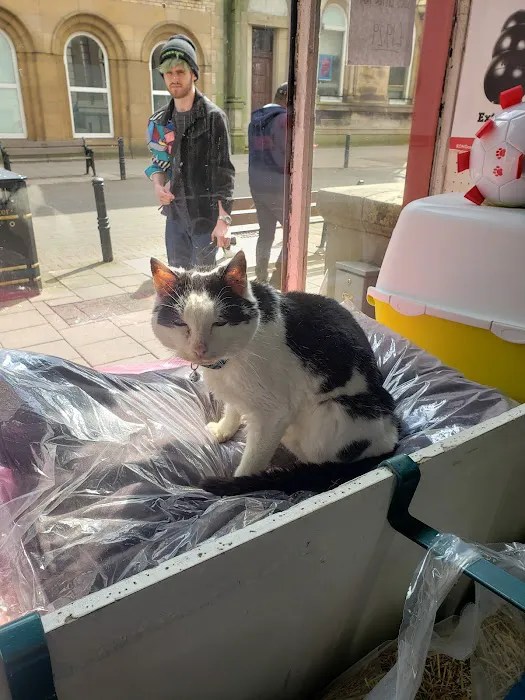 Nixon W & Sons Picture 8