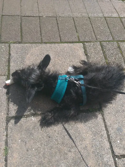 Nixon W & Sons Picture 10