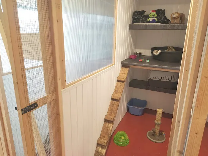 Snuggles Cattery - Quality, Affordable & Caring Picture 2