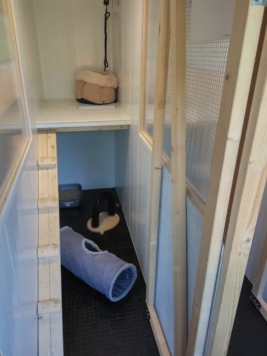 Snuggles Cattery - Quality, Affordable & Caring Picture 3