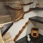 Snuggles Cattery - Quality, Affordable & Caring