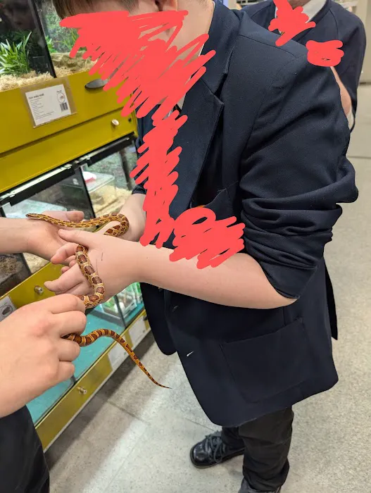 Pets at Home Carlisle Picture 6