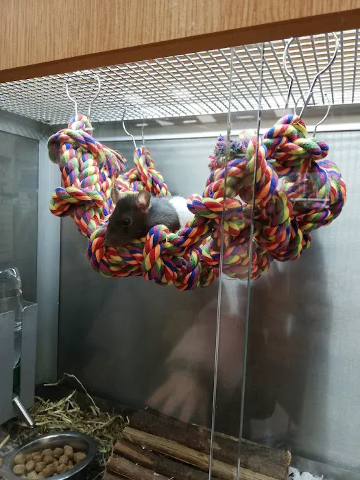 Pets at Home Carlisle Picture 4